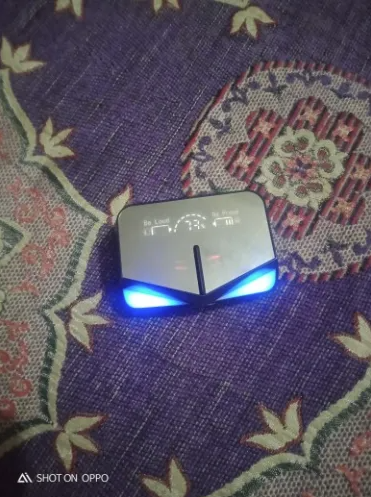 Customer review photo 1