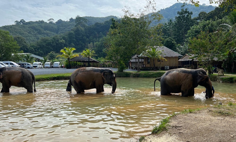 Green Elephant Sanctuary Park — Phuket