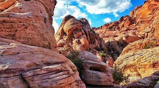 Red Rock Canyon NCA — 13-Mile Scenic Drive (Las Vegas)