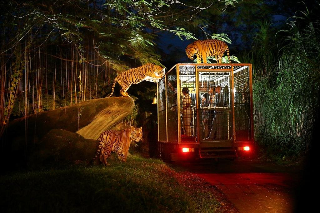 Bali Safari & Marine Park — Jungle Hopper Day Ticket