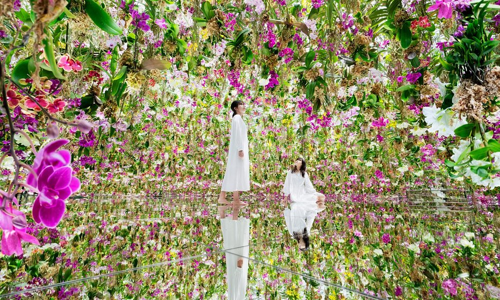 teamLab Planets TOKYO