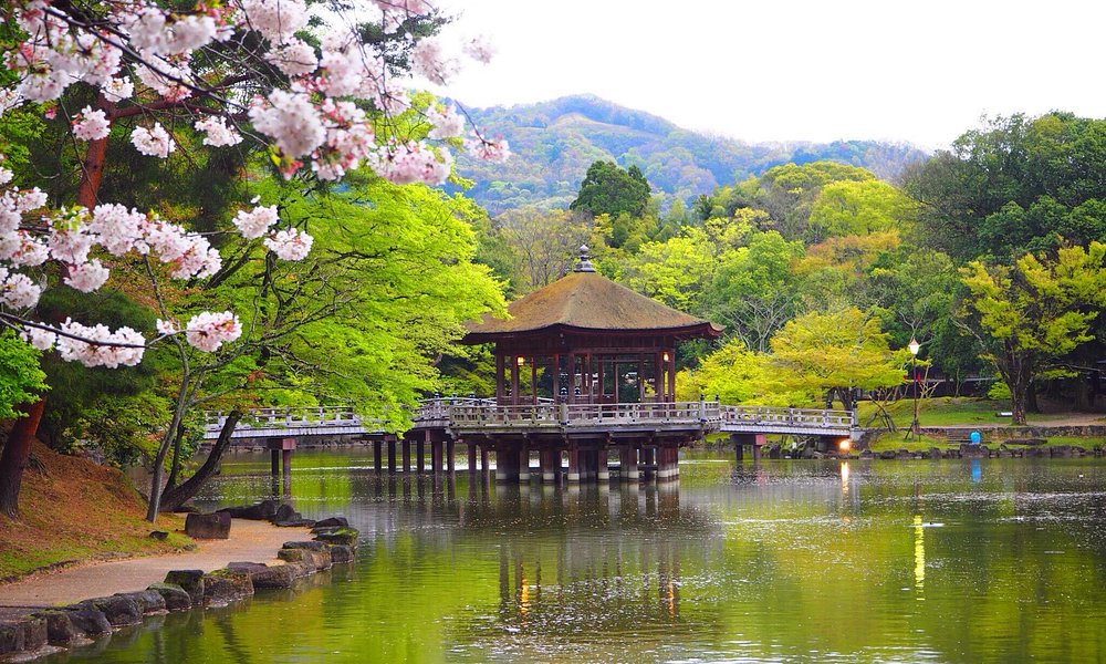 Nara Park