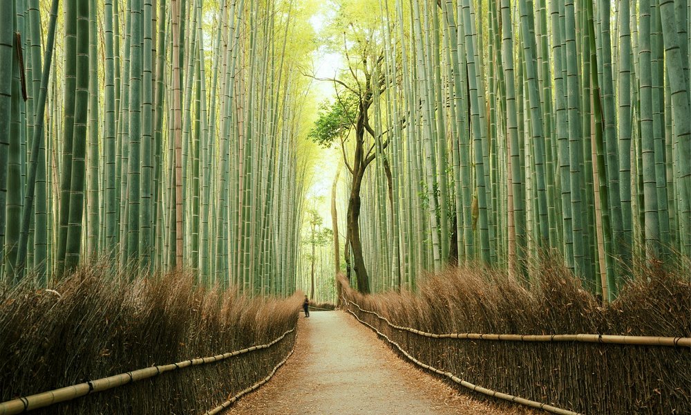 Arashiyama