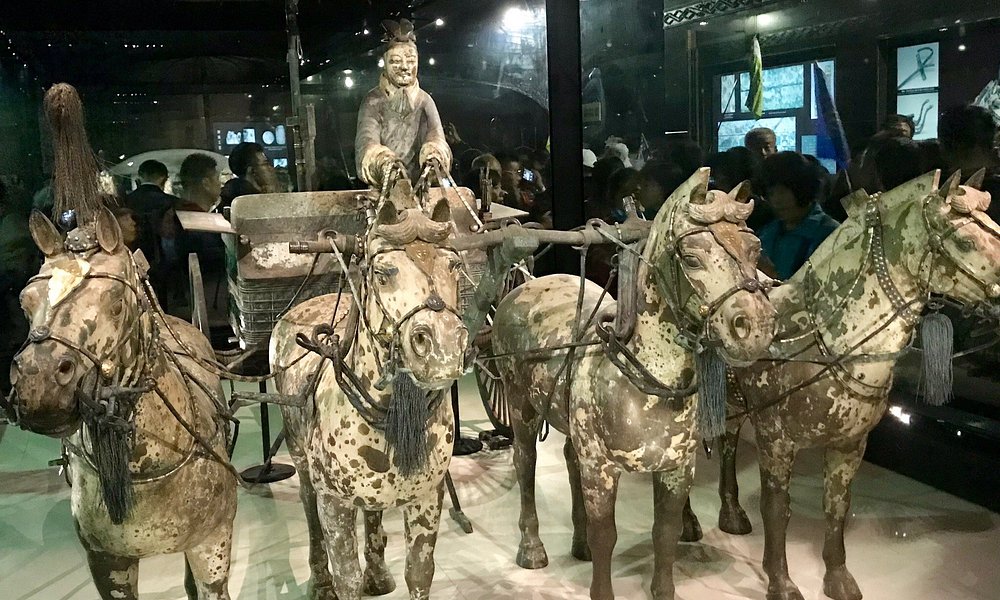 The Museum of Qin Terra-cotta Warriors and Horses
