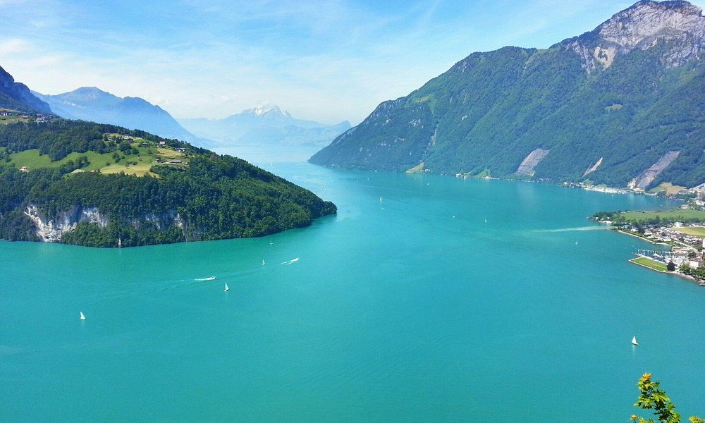 Lake Lucerne Scenic Cruise from Lucerne