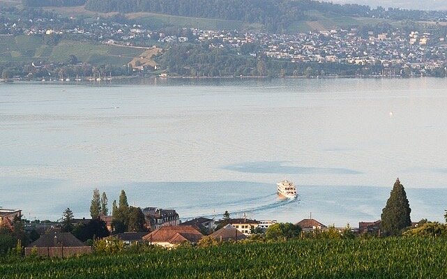 Lake Zurich Scenic Cruise from Zurich