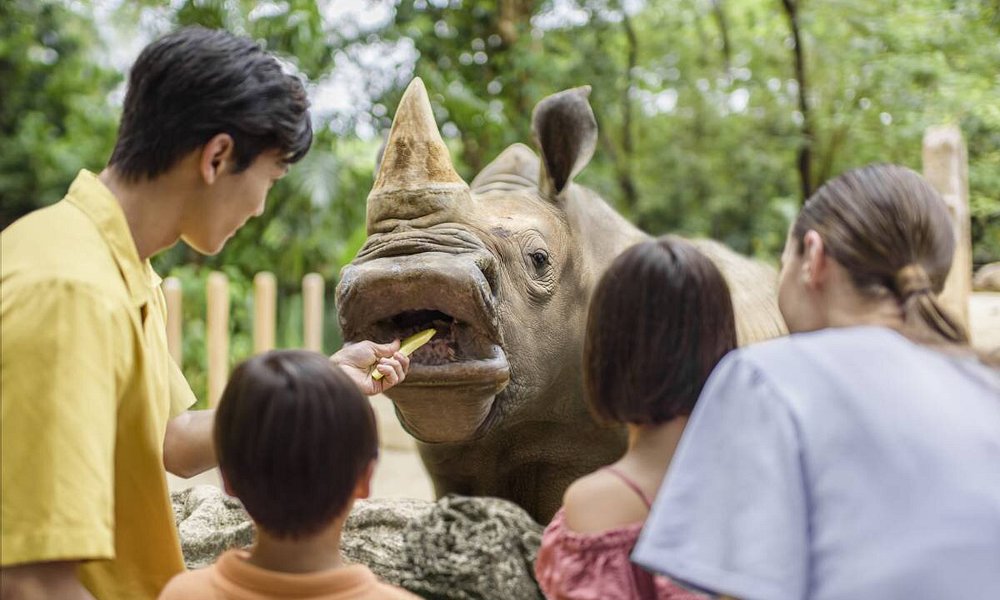 Singapore Zoo — Open Concept Day Visit