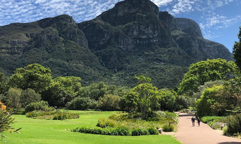 Kirstenbosch National Botanical Garden, Cape Town