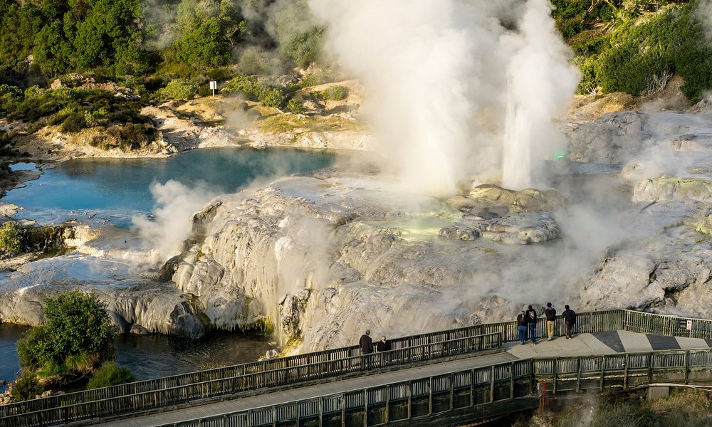 Te Puia Geothermal Valley & Māori Cultural Experience, Rotorua