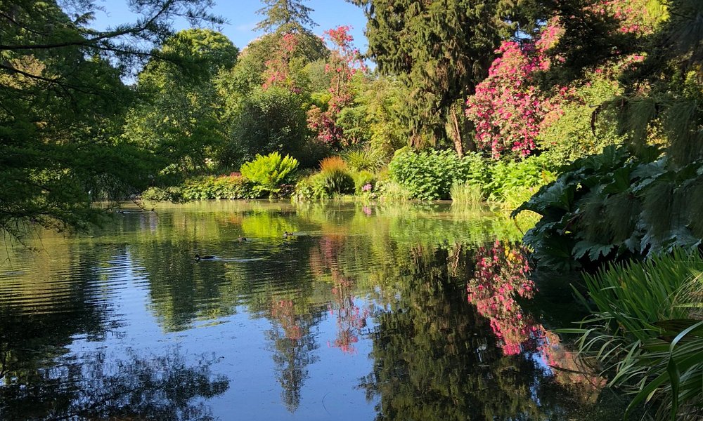 Christchurch Botanic Gardens, Christchurch