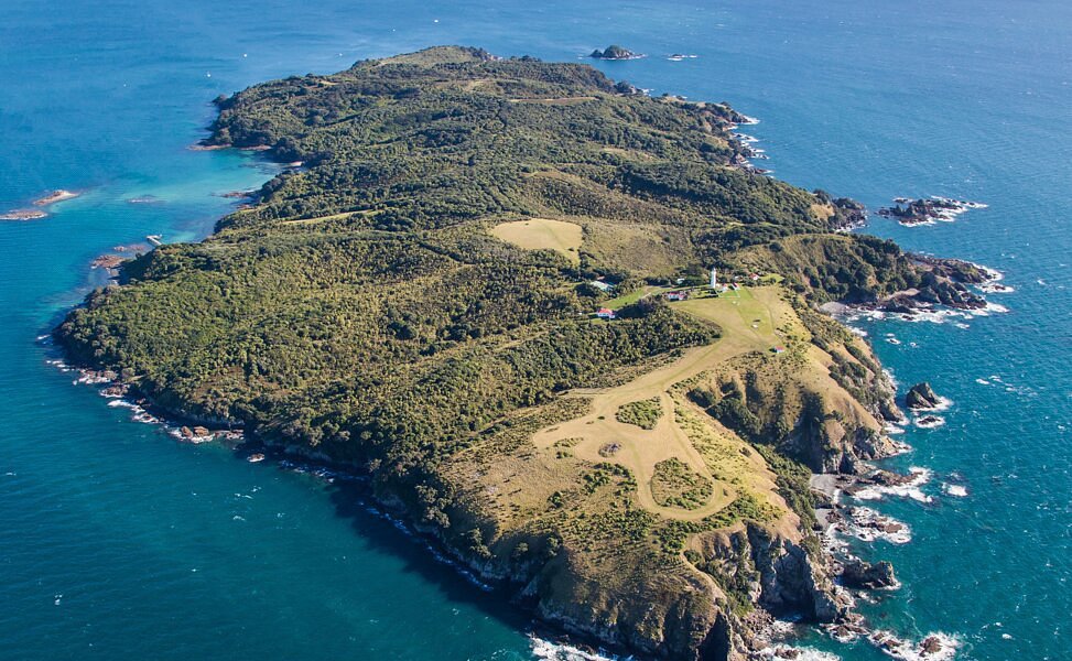 Tiritiri Matangi Island Open Sanctuary Day Trip, Auckland