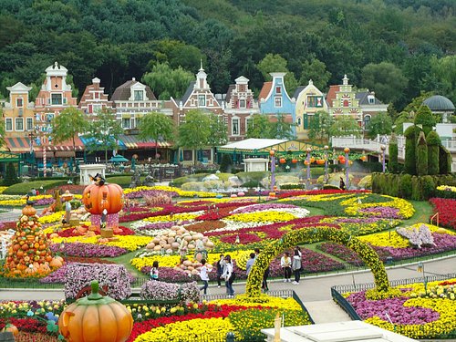 Everland (Yongin, near Seoul) — 5 Themed Zones, T-Express Wooden Coaster & Zootopia Safari Area