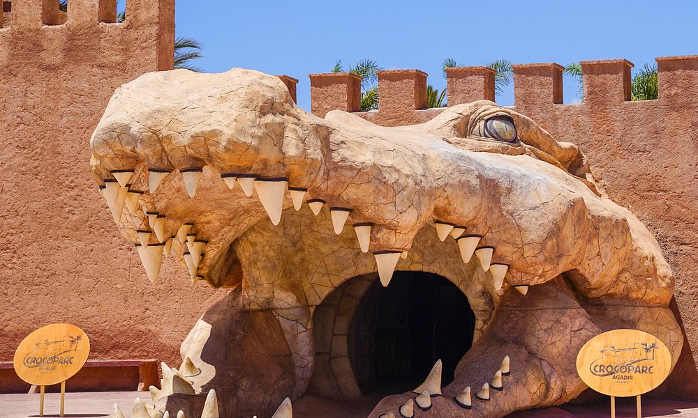 Crocoparc (Agadir/Drarga) — Nile Crocodiles Park + Botanical Gardens Walk (Entry Ticket)