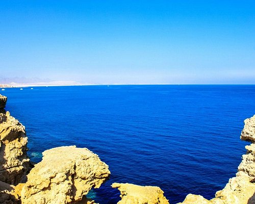 Ras Mohammed National Park (Sharm El Sheikh) — Protected Area Entry + Reefs, Mangroves & Lagoons (Snorkel/Dive Day)