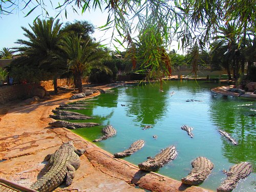 Park Djerba Explore (Djerba) — Lalla Hadria Museum + Heritage Village + Crocodile Farm (Entry Ticket)
