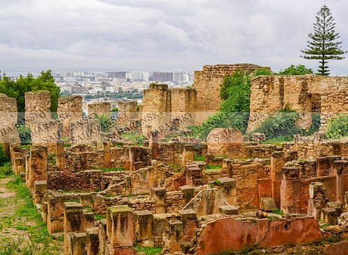 Site Archéologique de Carthage (Tunis) — Grouped Ticket Ruins Circuit (Antonine Baths, Roman Theatre, Tophet & More)