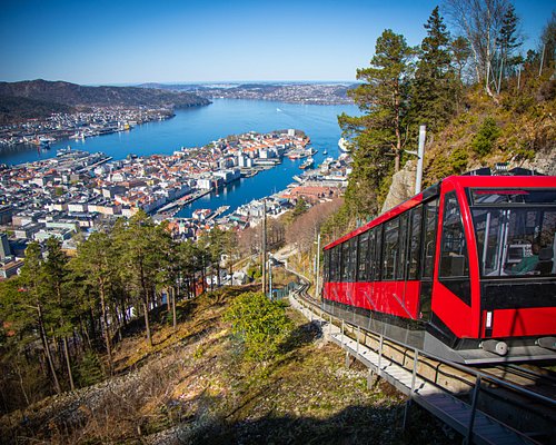Mount Fløyen & Fløibanen Funicular (Bergen) — 5—8 Min Ride to 320m Viewpoint + Easy Trails & City Panorama (Ticketed Funicular)