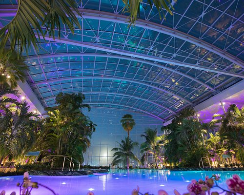 Therme București (near Bucharest) — Giant Thermal Spa Complex: Pools, Palm Zone Relax + Saunas & Slides (Ticketed Entry; Zones + Duration Pricing)