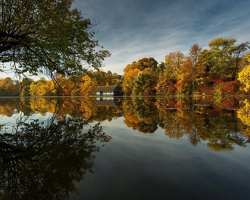 Parcul Herăstrău (Parcul Regele Mihai I, Bucharest) — Big Lake Park Walks: Waterfront Promenades, Gardens & Relax Spots (Free Public Park)