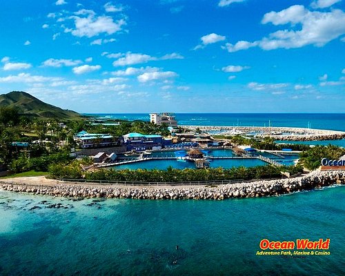 Ocean World Adventure Park (Puerto Plata) — Marine Park Day Pass: Dolphin/Sea Lion/Bird Shows + Tropical Reef Snorkel + Water Slides (Ticketed Entry)