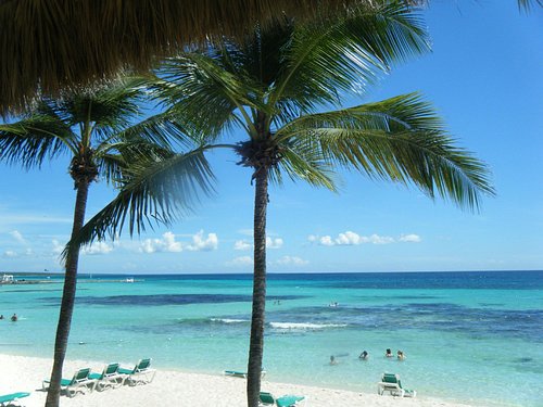 Playa Pública Dominicus (Playa Dominicus, Bayahíbe) — Blue-Flag Beach Day: Shallow Turquoise Swim + Reef Snorkel/Dive Right Off Shore (Free Public Area)