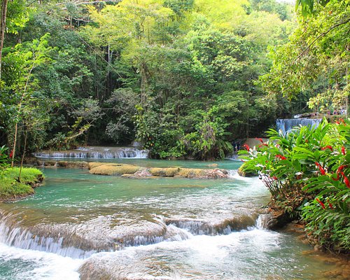 YS Falls (St. Elizabeth) — Waterfalls + Natural Pools Swim (Ticketed Entry) + Jungle Setting