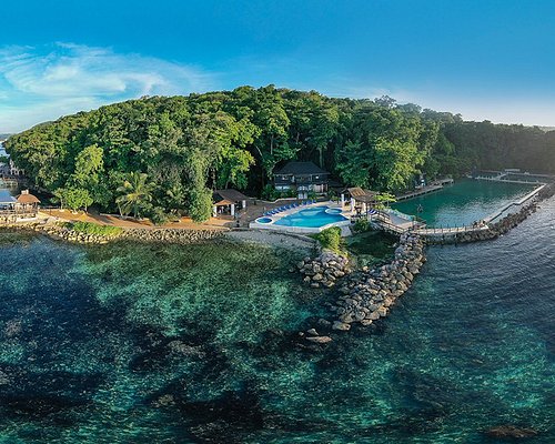 Dolphin Cove Ocho Rios (Jamaica) — Admission Plus Nature Park + Beach Club + Stingray Encounter (Ticketed Entry)