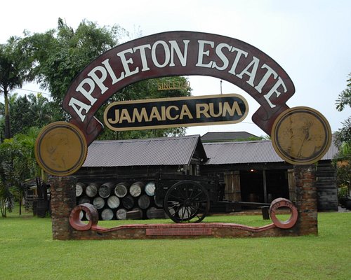 The Joy Spence Appleton Estate Rum Experience (Nassau Valley) — Distillery Tour + Ageing House + Guided Rum Tasting (Ticketed)