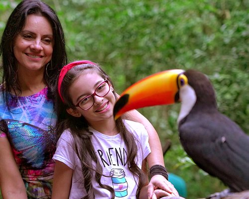 Parque das Aves (Foz do Iguaçu) — Atlantic Rainforest Bird Park + Immersion Aviaries Walk (Ticketed Entry)
