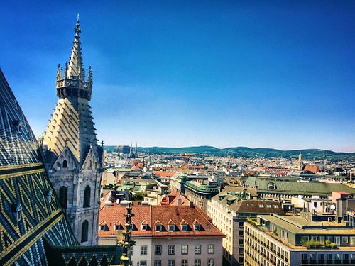 St. Stephen's Cathedral (Stephansdom), Vienna — Cathedral Interior Visit + Optional Towers/Catacombs (Ticketed Visit Option)