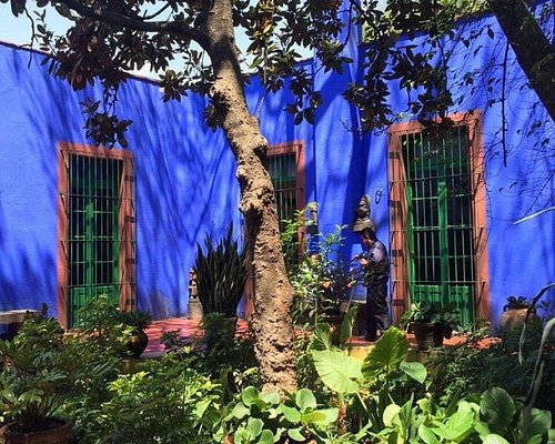 Museo Frida Kahlo (Casa Azul), CDMX — Timed Entry Blue House Museum Visit (Ticketed Entry, Online Booking)