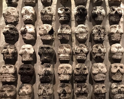 Museo del Templo Mayor (CDMX) — Aztec Sacred Precinct Museum + Archaeological Site Access (Ticketed Entry)