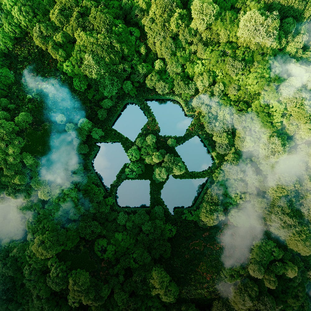 Environment