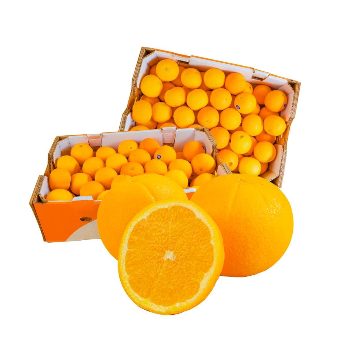 Cam Vàng Navel Úc