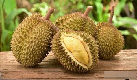 Sầu Riêng Ri6 Cái Mơn