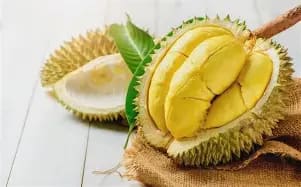 Sầu Riêng Ri6 Cái Mơn