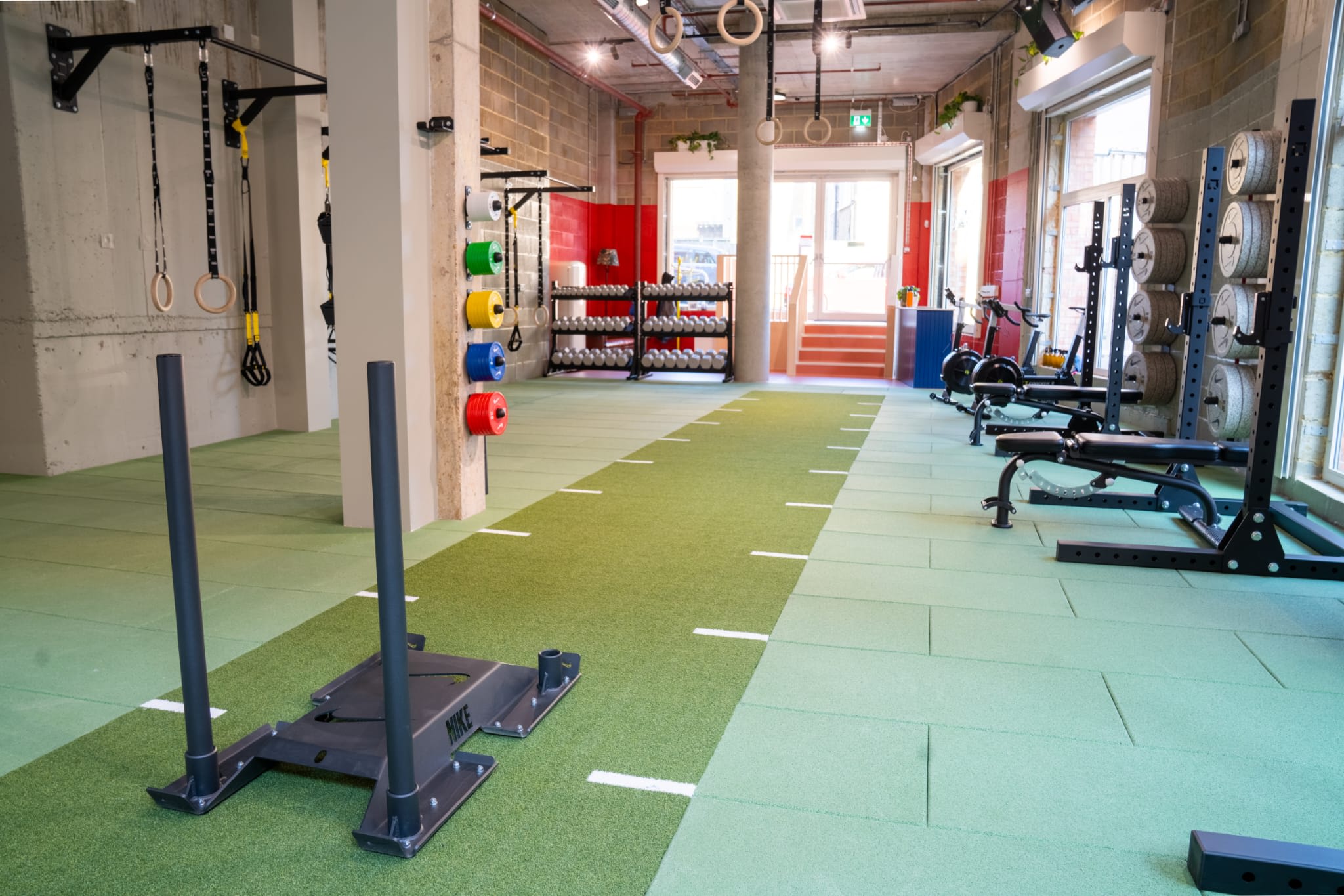 Fantastic Creatures by Scutts Renovations