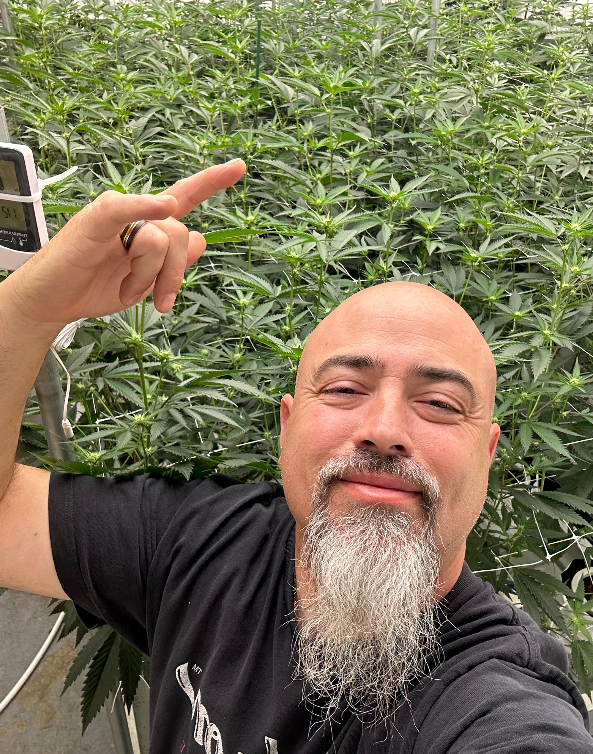 Josh D in cannabis garden