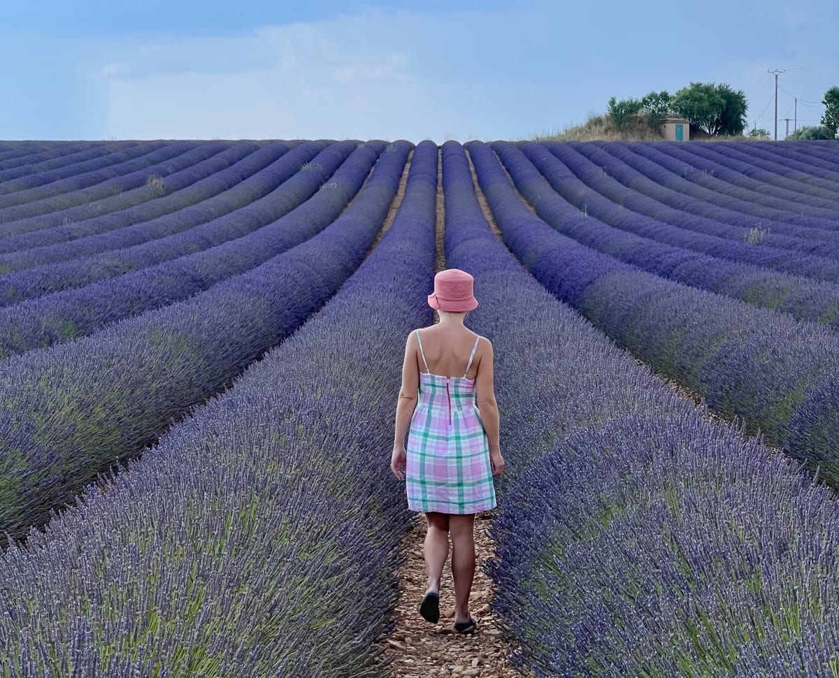 Lavender fields │ Provence, France