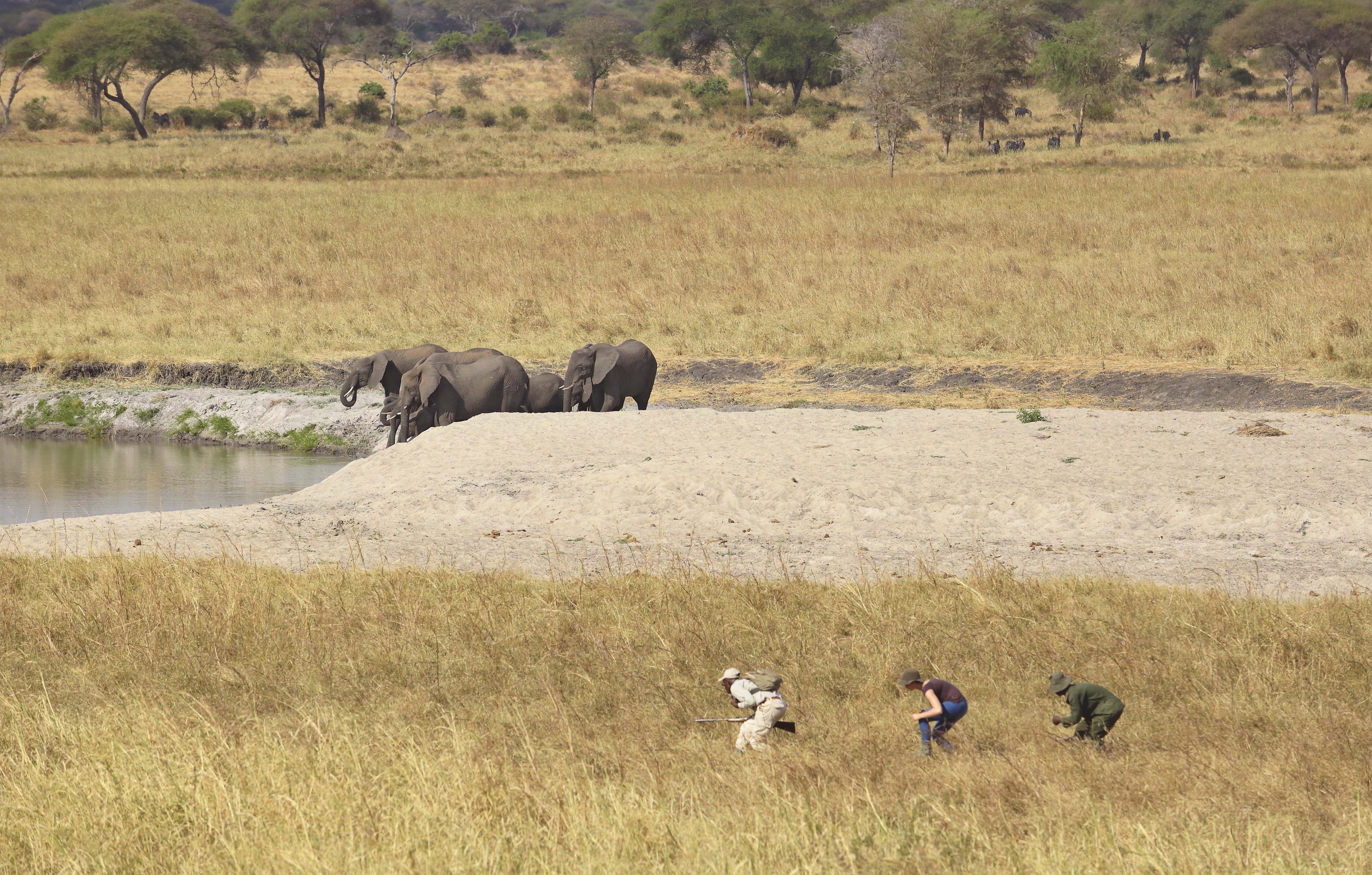 Tanzania Northern Circuit