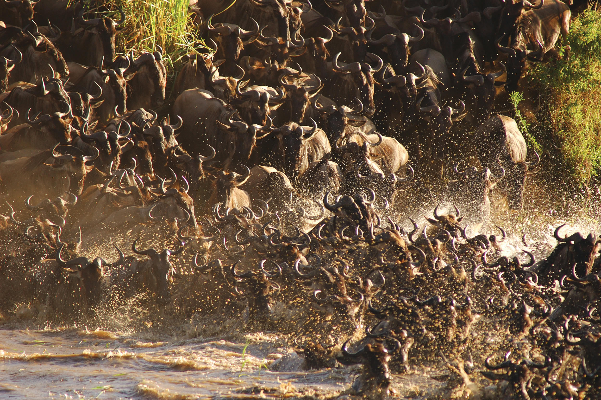Primetime River Crossing