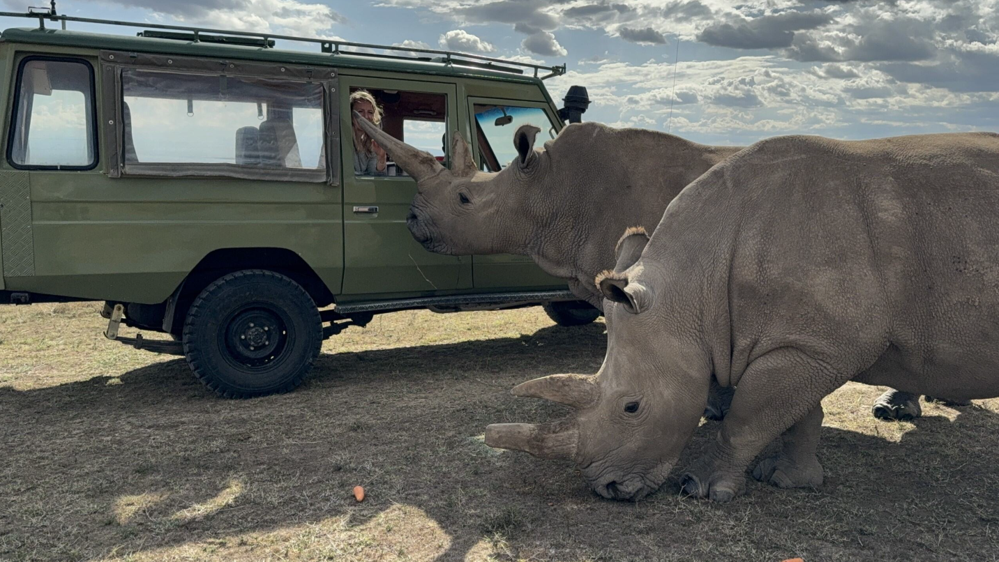 Immersive Kenya: conservation and savannah