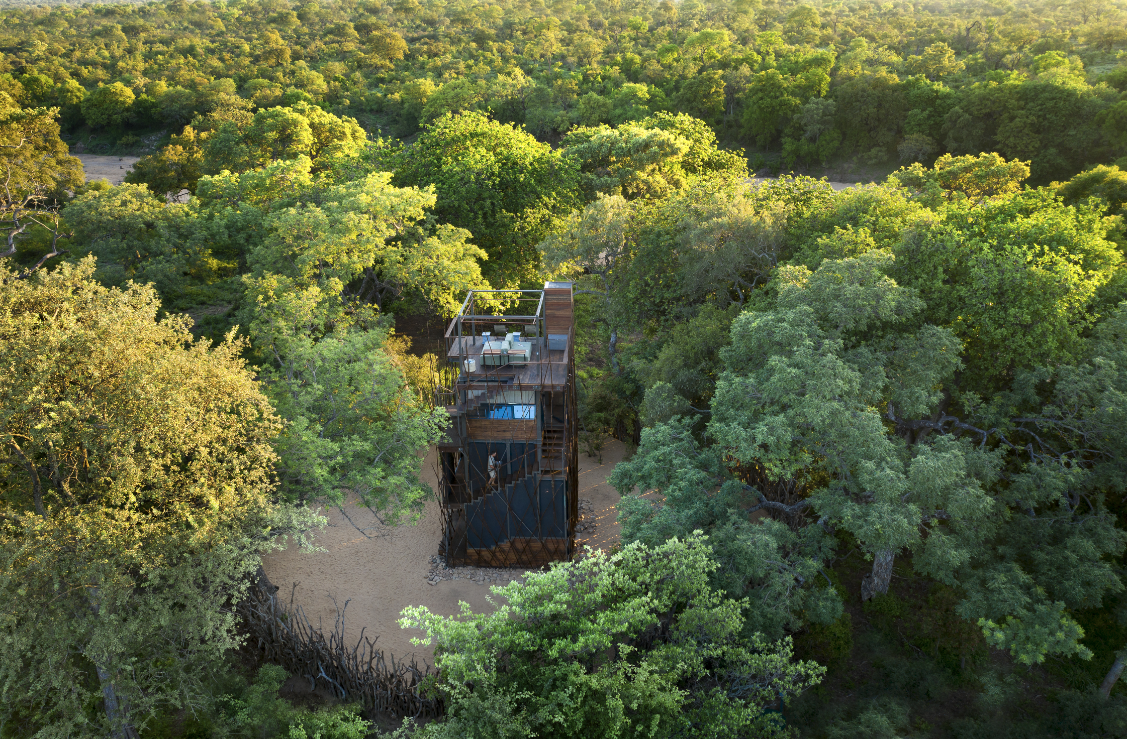 Ngala Treehouse Experience