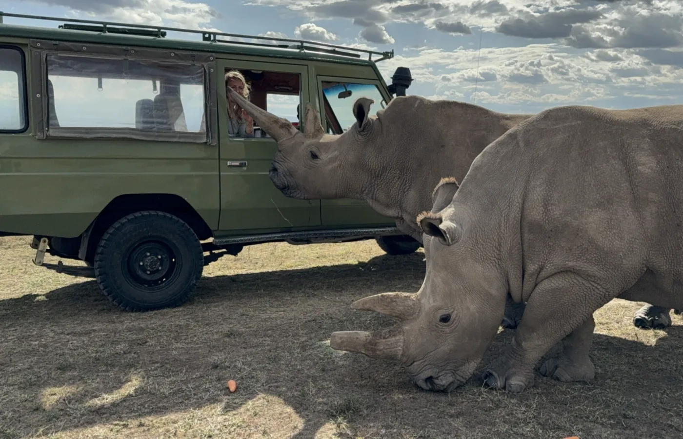 Immersive Kenya: conservation and savannah main view