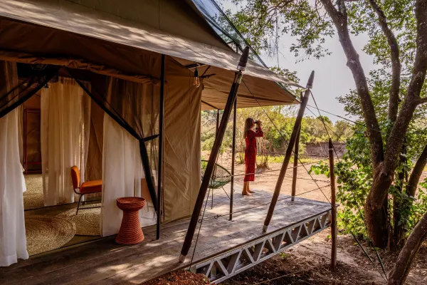 Immersive Kenya: conservation and savannah view 5