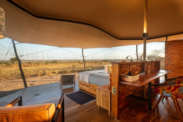 From Migration to Wetlands: A Tanzanian Expedition view 4