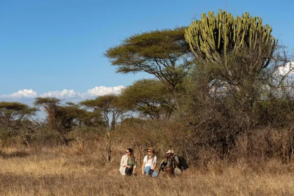 From Migration to Wetlands: A Tanzanian Expedition view 3