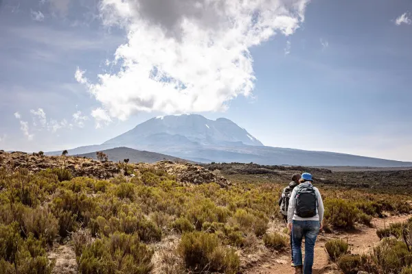 The VIP Kilimanjaro Summit & Serengeti Retreat view 2