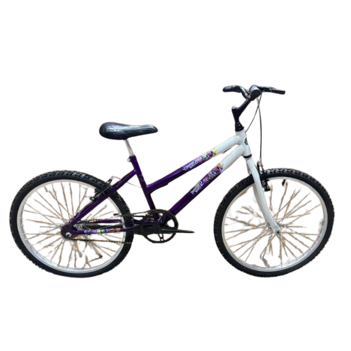 Bicicleta Bicicleta Aro 24 Feminina