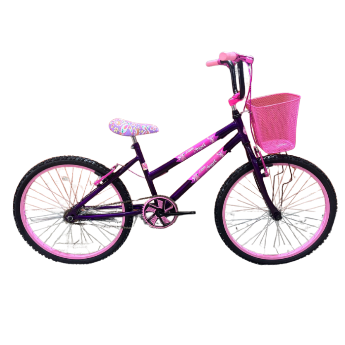 Bicicleta Bicicleta Aro 24 Color Feminina